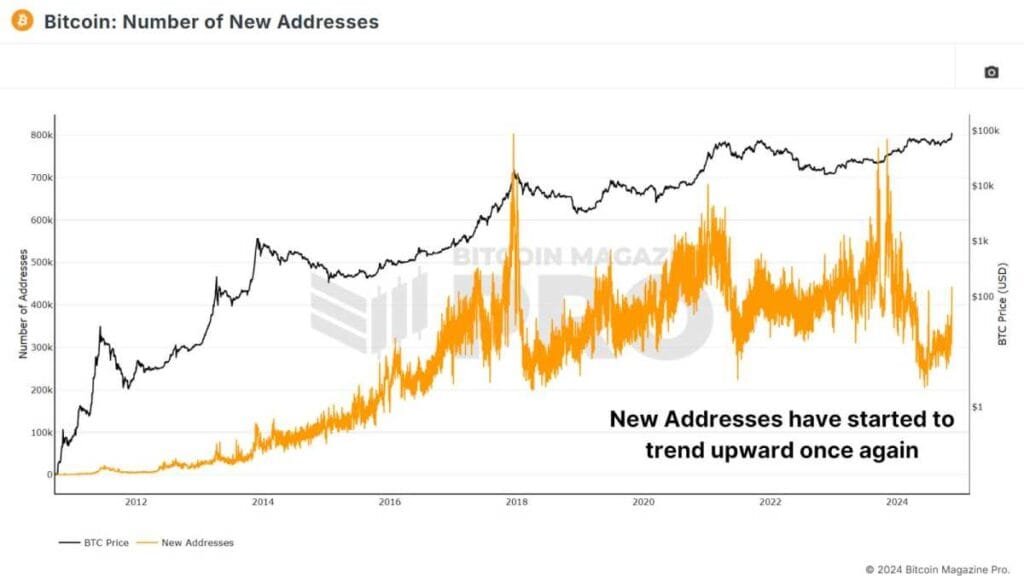 ¿Están los inversores minoristas detrás del aumento del precio de Bitcoin en esta corrida alcista?