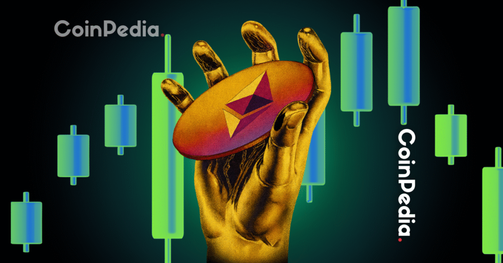 ¿Qué sigue en medio de la actividad de ballenas mixtas?