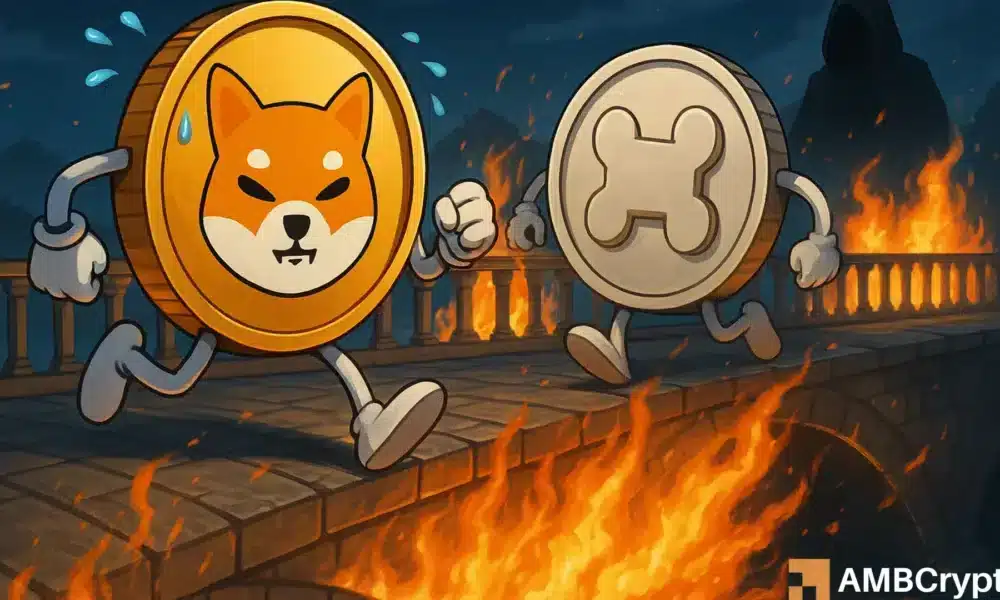 ‘Somos conscientes …’: El equipo de Shiba Inu responde después de $ 2.4 MLN Shibarium Bridge Attack