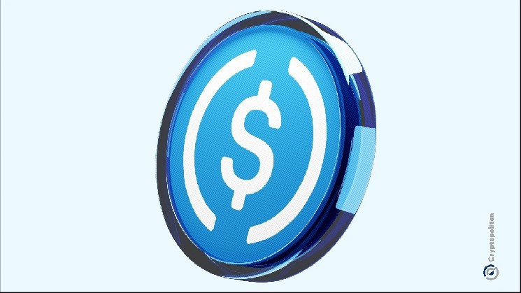 Circle lanza Bridge Kit, un conjunto de herramientas para desarrolladores diseñado para simplificar las transferencias entre cadenas