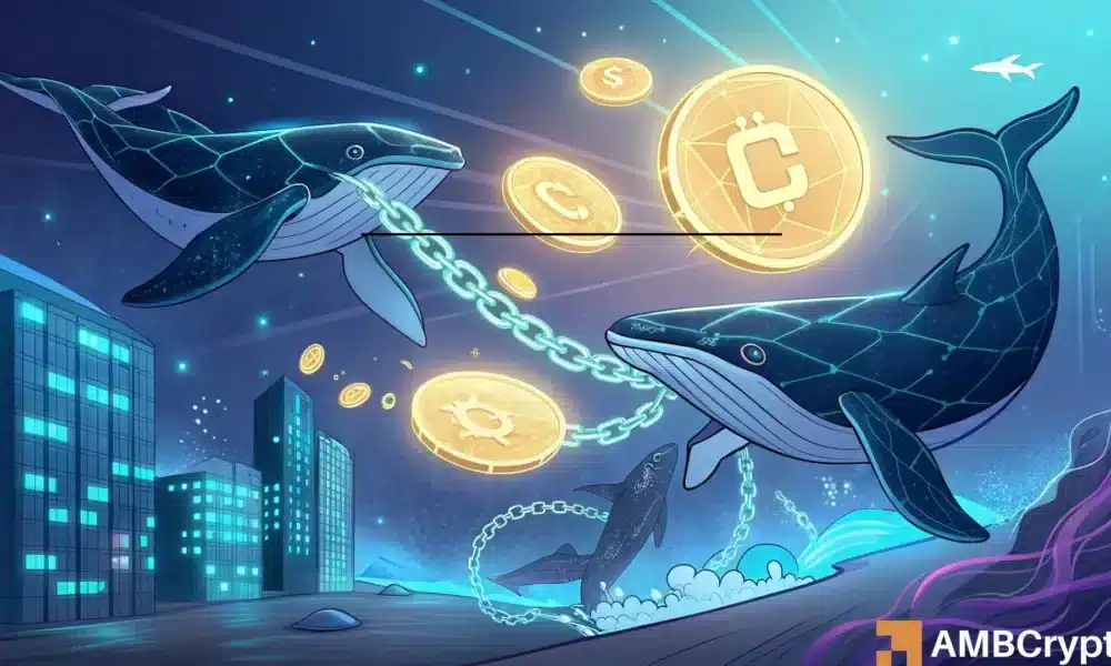 ¿Pueden las ballenas cambiar el futuro de Chainlink después de la caída del 16% de LINK?
