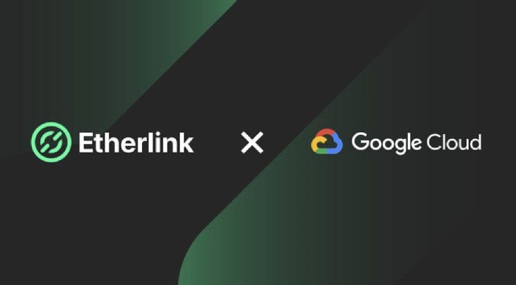 Google Cloud se asocia con Etherlink de Tezos para acelerar el desarrollo Web3