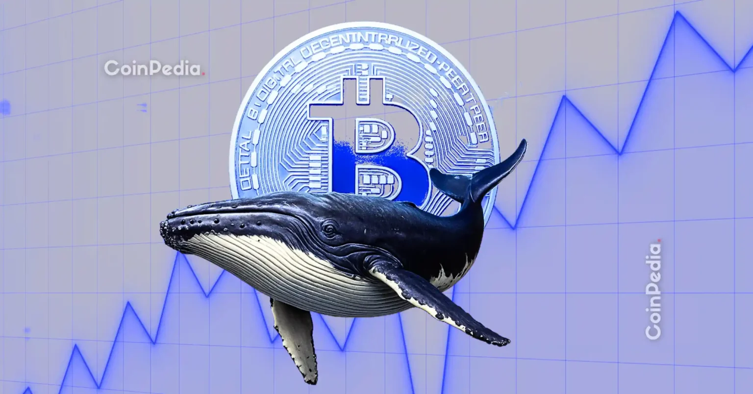 ¿Se avecina una caída del precio de Bitcoin? La ballena de la era Satoshi arroja 12.000 BTC