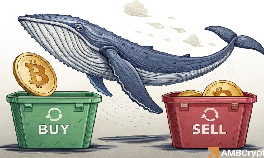 Del pánico al posicionamiento: cómo se preparan las ballenas Bitcoin para diciembre